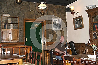 Musician in Irish pub, Temple Bar District,Dublin