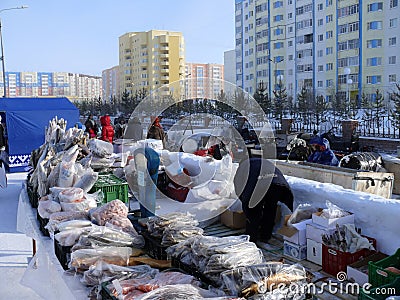 Nadym, Russia - March 15, 2008: Trading in meat and fish on the