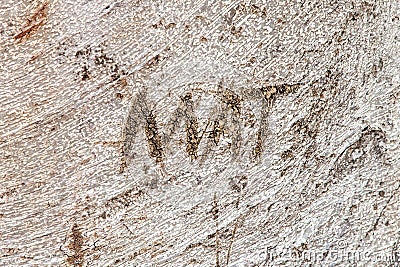 Name Mat Carved into Trunk of Moreton Bay Fig Tree