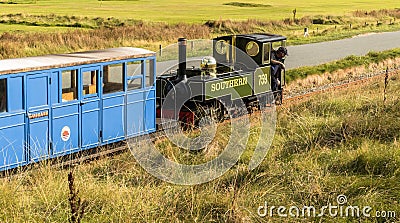 Narrow Gauge Steam Railway Train