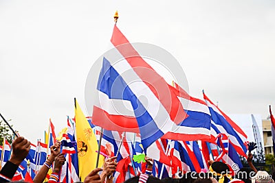 Nation flag of Thailand ,Thai Anti-Government Protesters in Bangkok ,Thailand