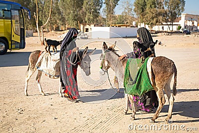 Native arabic women with donkey and goat