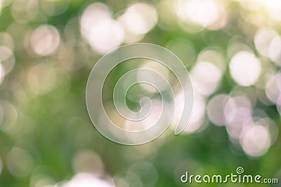 Natural green abstract background