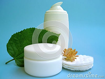 Natural Skin Care on Natural Skin Care Elements Stock Photo   Image  1229490