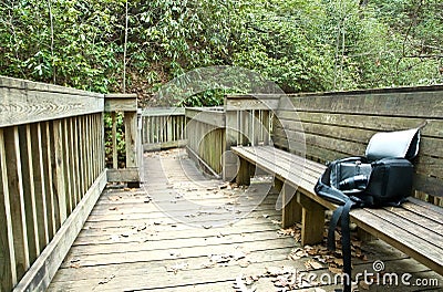 Nature Trail/Bench/Camera
