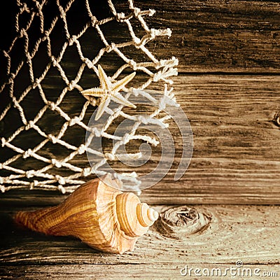 Nautical background with a shell and starfish