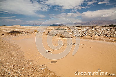 Negev Desert - Israel