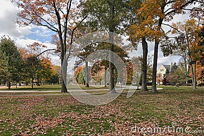 Neighborhood scene with fall colors