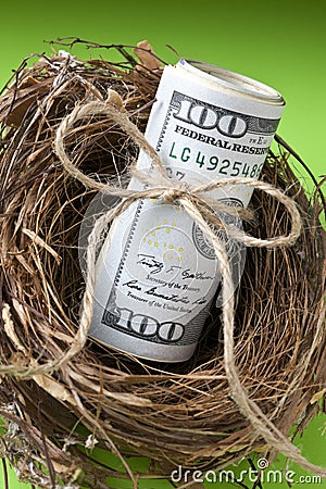 Nest Savings American Money
