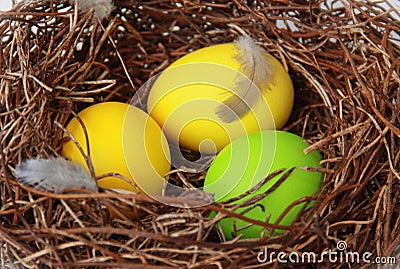 Nest with easter eggs