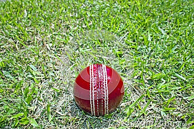 New Bright Red Cricket Ball On Green Grass Field