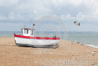 New fishing boat seen ashore