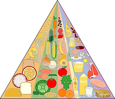 New Food Pyramid Chart