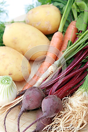 New and fresh vegetables