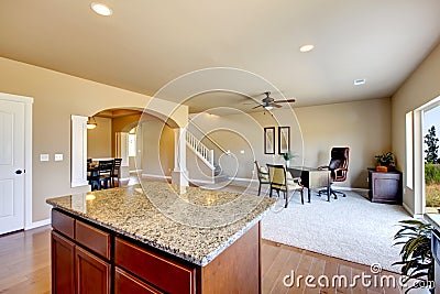 New home kitchen interior with dark brown cabinets.