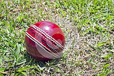 New Red Cricket Ball On Patchy Grass Lawn