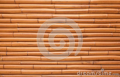 New shining bamboo wall background texture