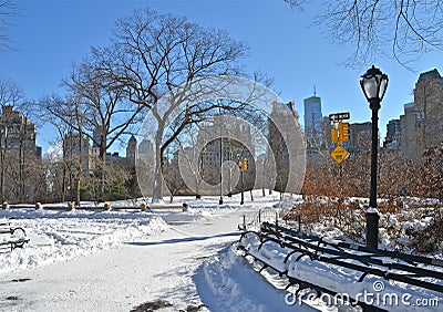 New York City Central Park alley in winter. New York.