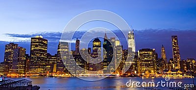 New York skyline and Liberty Statue at Night, NY, USA