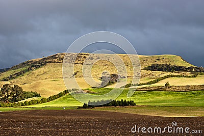 New Zealand countryside