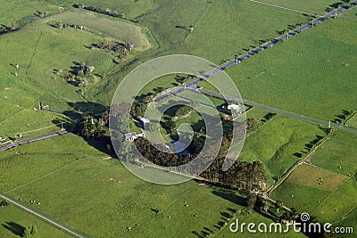 New zealand farm