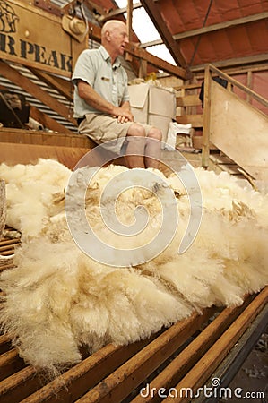 New Zealand wool