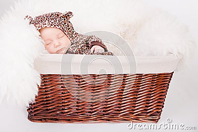 Newborn Baby In A Basket in leopard suite