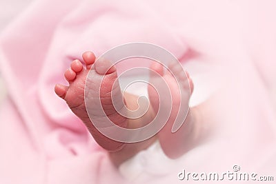 Newborn baby feet