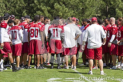 NFL Arizona Cardinals training camp