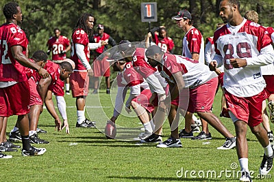 NFL Arizona Cardinals training camp