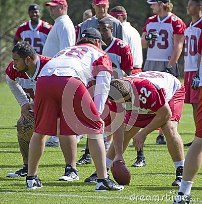 NFL Arizona Cardinals training camp