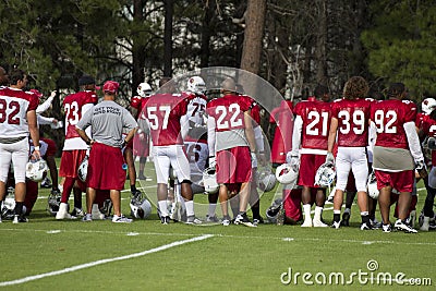 NFL Arizona Cardinals training camp