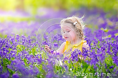 Nice toddler girl in bluebell flowers in spring