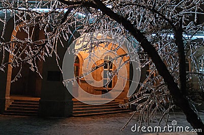 Night and ice on trees