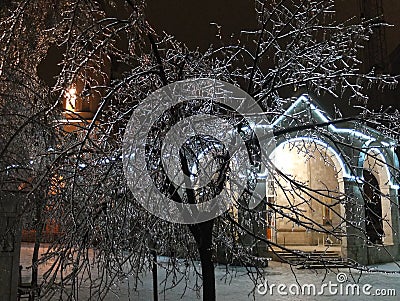 Night and ice on trees