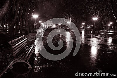 Night street in the rain