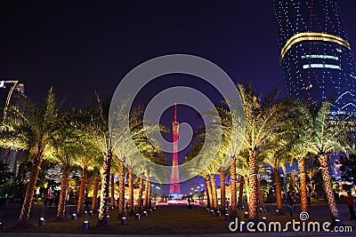 Night view palm trees at Huacheng Hui