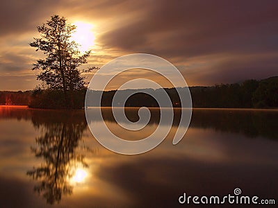 Night view to island with tree above water level. Full moon