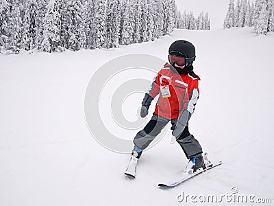 男孩滑雪 免版税库存图片 - 图片: 12948349