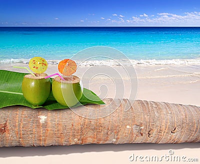 海滩加勒比鸡尾酒椰子<em>绿松石</em> 库存<em>照片</em> - <em>图片</em>