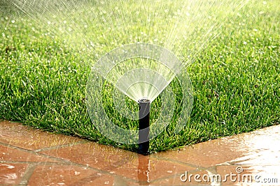 自动庭院灌溉草坪系统浇灌 免版税图库摄影 - 