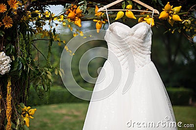 婚礼礼服 免版税库存图片 - 图片: 33841999