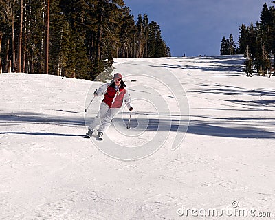 女孩滑雪者少年 库存图片 - 图片: 7806501