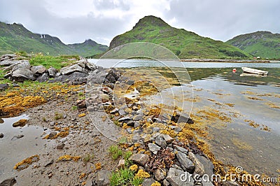 Norwegian fjord wild landscape