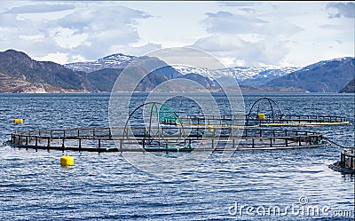 Norwegian salmon fish farm