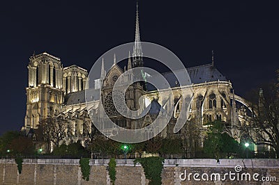 Notre dame of Paris at night