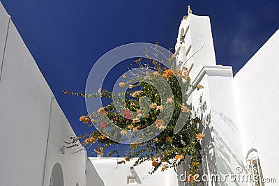 Noussa Old Town church and flowers