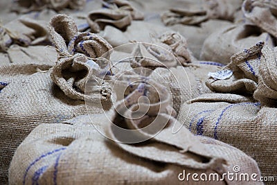 Nutmeg Bagged to Export
