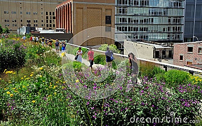 NYC: People Strolling in the High Line Park