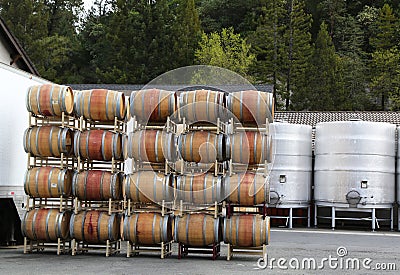 Oak barrels and stainless steel fermentation tanks at the vineyard